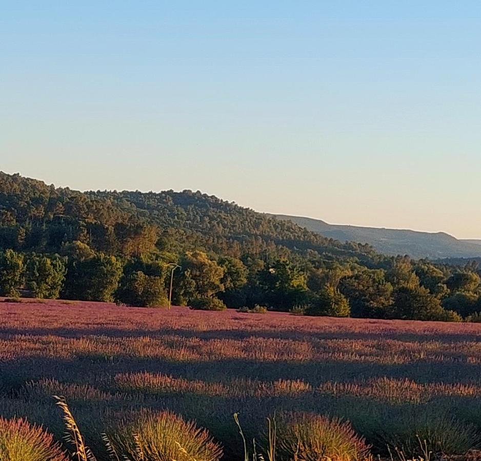 Appartement Roussillon Roussillon en Isere Zewnętrze zdjęcie